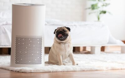 Getting Ready for Cooler Temperatures